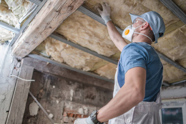 Best Insulation for Specific Applications in Ocean Springs, MS